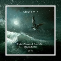 Storm Finch - Single - Suntetic