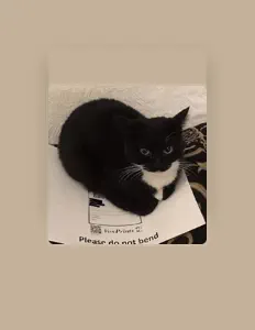 Luister naar kaxzyee, bekijk muziekvideo's, lees de bio, bekijk de tourdata, en meer!