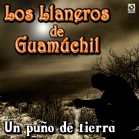 Un Puño De Tierra - Los Llaneros de Guamuchil