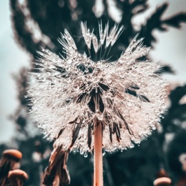 Не пытайся бежать (feat. Артем Савенко) BoykaZet