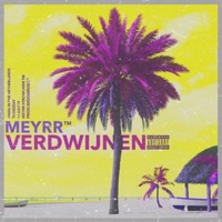 Verdwijnen - Single - Meyrr