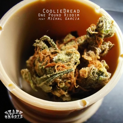 One Pound Riddim (feat. Michal Garcia) - Single