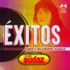 El Amor Y El Desamor