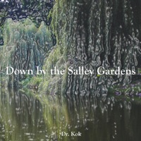 Down by the Salley Gardens - Single - Dr. Kok