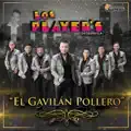 El Gavilan Pollero