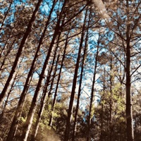 Creepin' in the South - Single - Lapow$ki