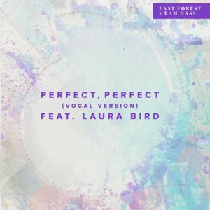 Perfect, Perfect [vocal version] [feat. The Mynabirds] - Single