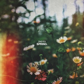 Spring Zmeyev