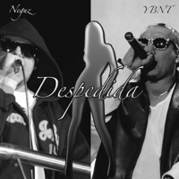 Despedida (feat. Ybnt) - Single - Neguz