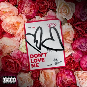 Don't Love Me - Single