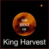 King Harvest - A Little Bit Like Magic (Olcott)