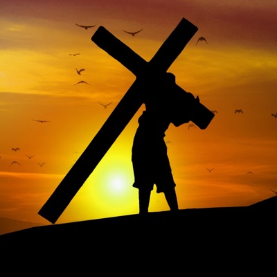 Llevando Mi Cruz - Single