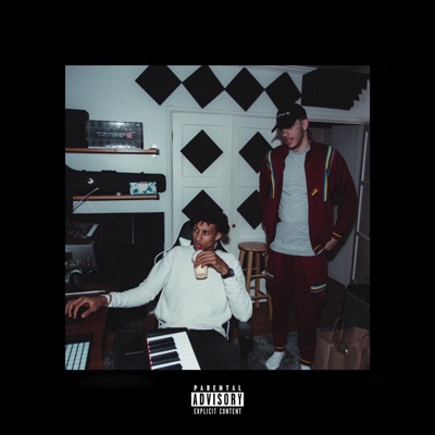 Not Like You (feat. Zo) - Single