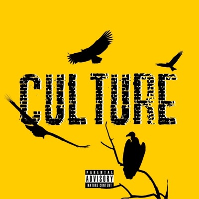 Culture (feat. Sully Dope & Pink July) - Single