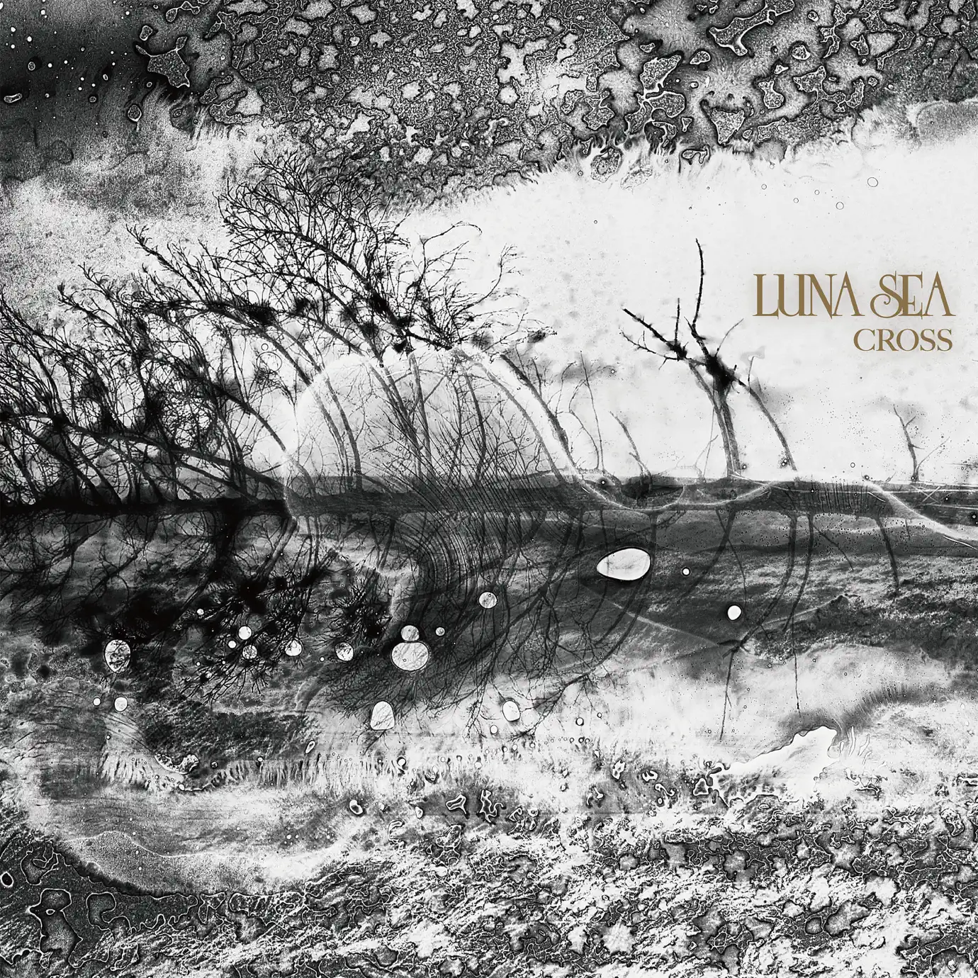LUNA SEA - Songs, Concert tickets & Videos
