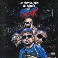 Me Quieren Ver Caer (feat. Flynt Hustle, Vita Valaguer & Hungry Ham) - Single - Los Hijos de Yayo