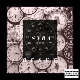 Reset Syba