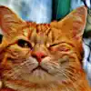 Pm Am - Wink at Me a Winky. Smile at Me a Smiley. Kiss at Me a Kissy!