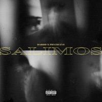 Salimos (feat. Phyzh Eye) - Single - Dardd