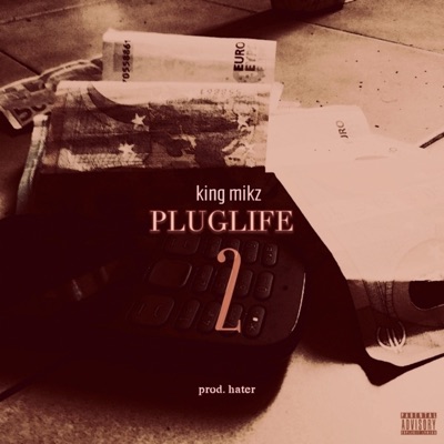 PLUGLIFE 2