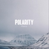 Polarity artwork