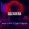 Gozadera (feat. Inerarity, Yimarlow, Sergito & Charly Miami) - Single