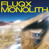 Vanishing Point — Fluqx