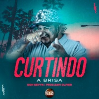 Curtindo a Brisa - Single - Don Kevyn