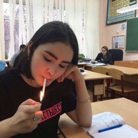 Wholesome - Single - Basco