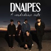 A Verdadeira Arte - Single