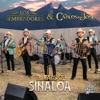 El Rayo de Sinaloa - Single
