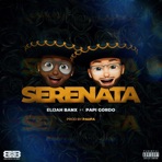 Serenata (feat. Papi Gordo) - Single