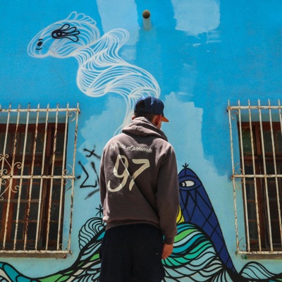Van y Vienen - Single