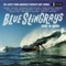 Stingray Stomp - Blue Stingrays lyrics