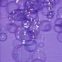 Og Shit (feat. Bishop One) - Single - Nachotheplug