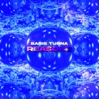 Reasons - Single - Baris Turna