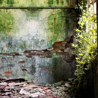 Dwelling Spells - EP - Offthesky