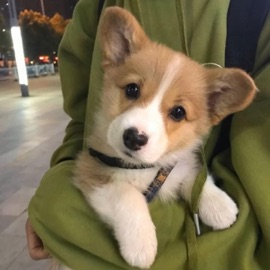 Target (feat. Spooky) quixotic