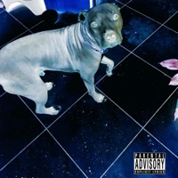 Blues Traveler - Jahshua Trees