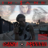 In-Sane - Atomnuke