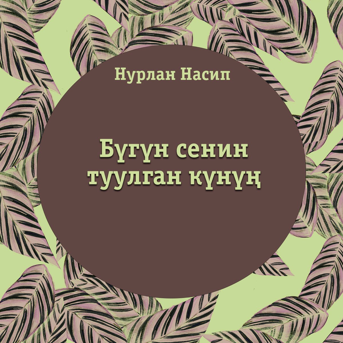 Нурлан туулган кун