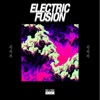 Electric Fusion, Vol. 4