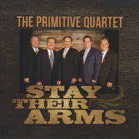 If We Never Meet Again - The Primitive Quartet Cover Art