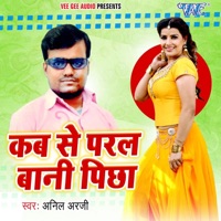 Kab Se Padal Bani Pichha - Single - Anil Arji