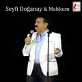 Arada Bir