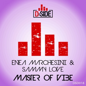 Master of Vibe - Single