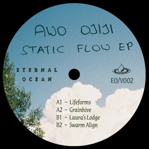 Static Flow - EP