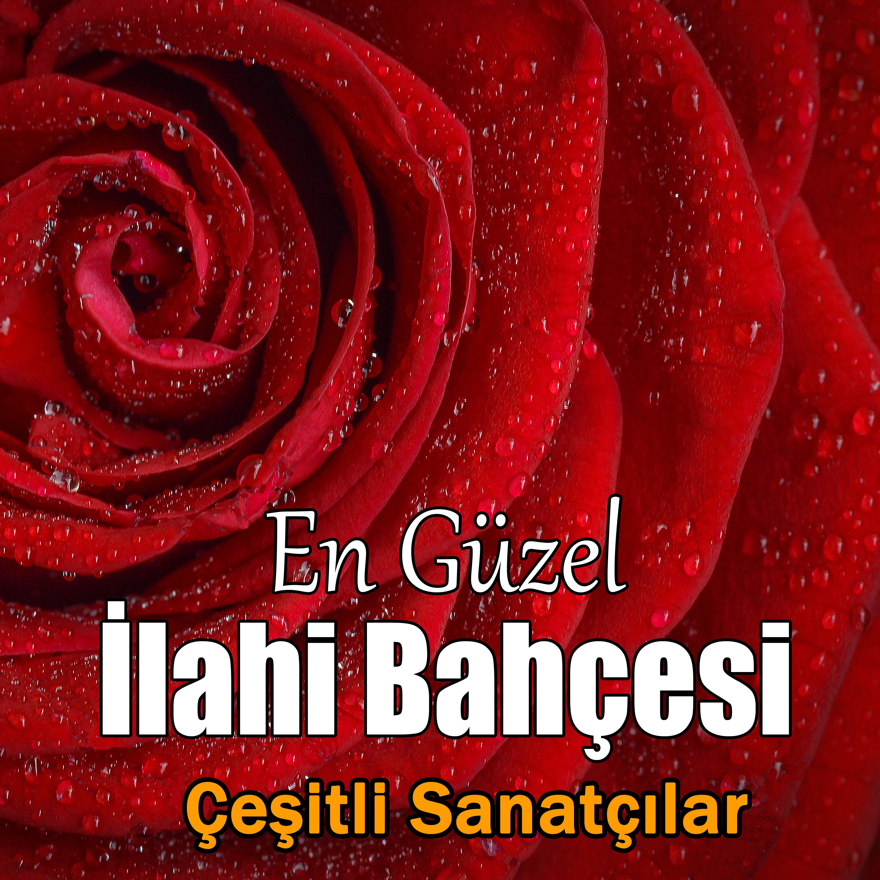 En Güzel İlahi Bahçesi