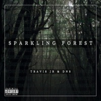 Sparkling Forest (feat. Travis JR) - Single - DnS
