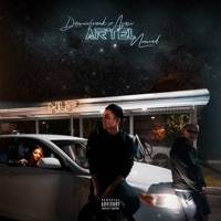 NLP (feat. Asaev) - Single - DAMIR FRANK